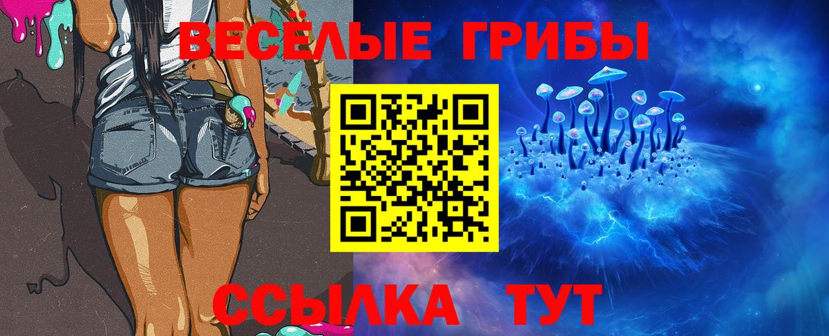 Псилоцибиновые грибы Cubensis  Вход с VPN  Сафоново 