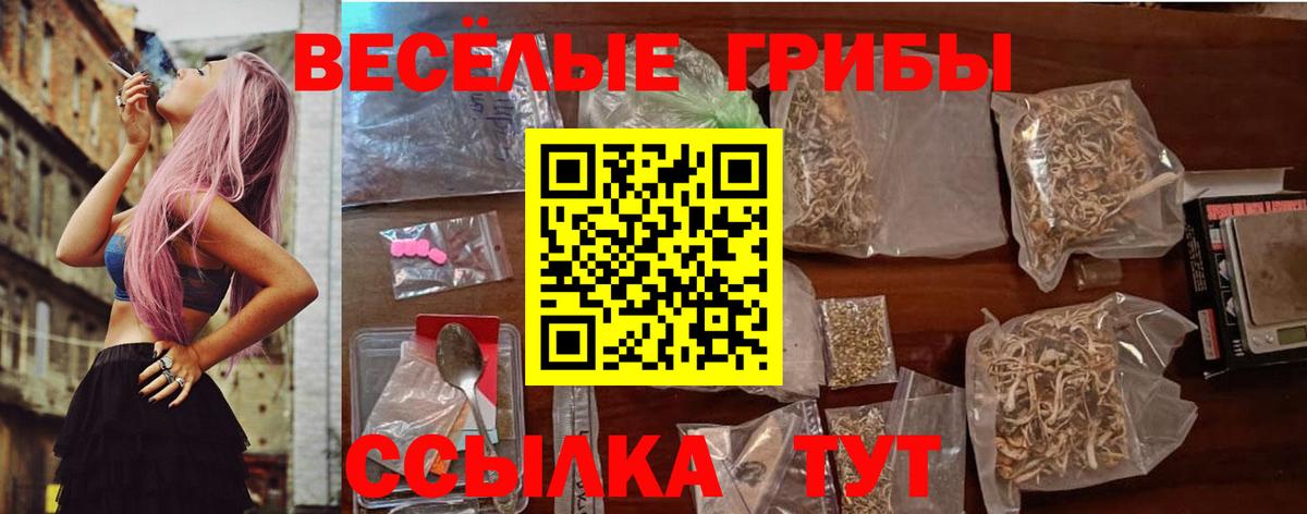 Псилоцибиновые грибы ЛСД Сафоново